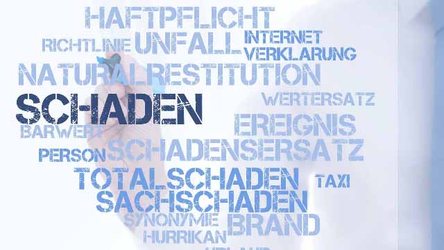 Schäden